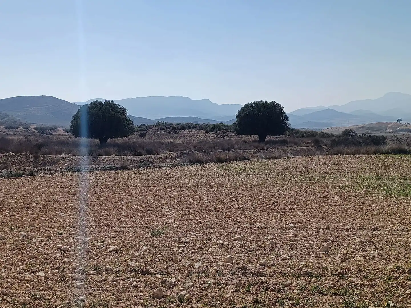 Terreno residencial en venta en El Pinós / Pinoso, imagen 7