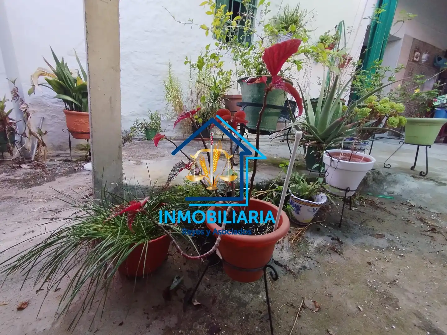 Maison avec jardin à vendre à Posadas, imagen 38