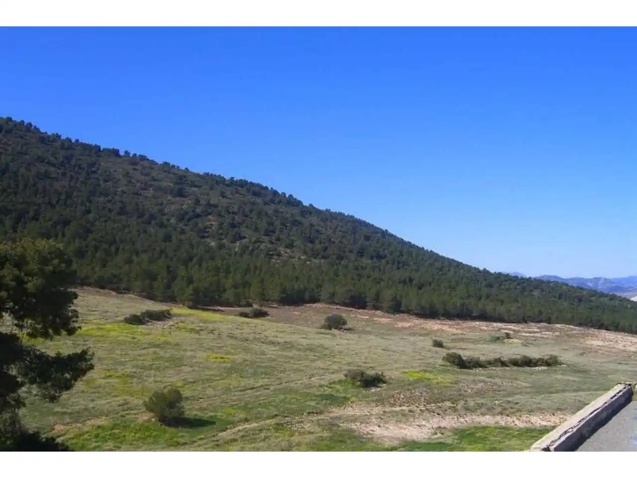 Terrains et parcelles à vendre à Pedanías Norte, imagen 11