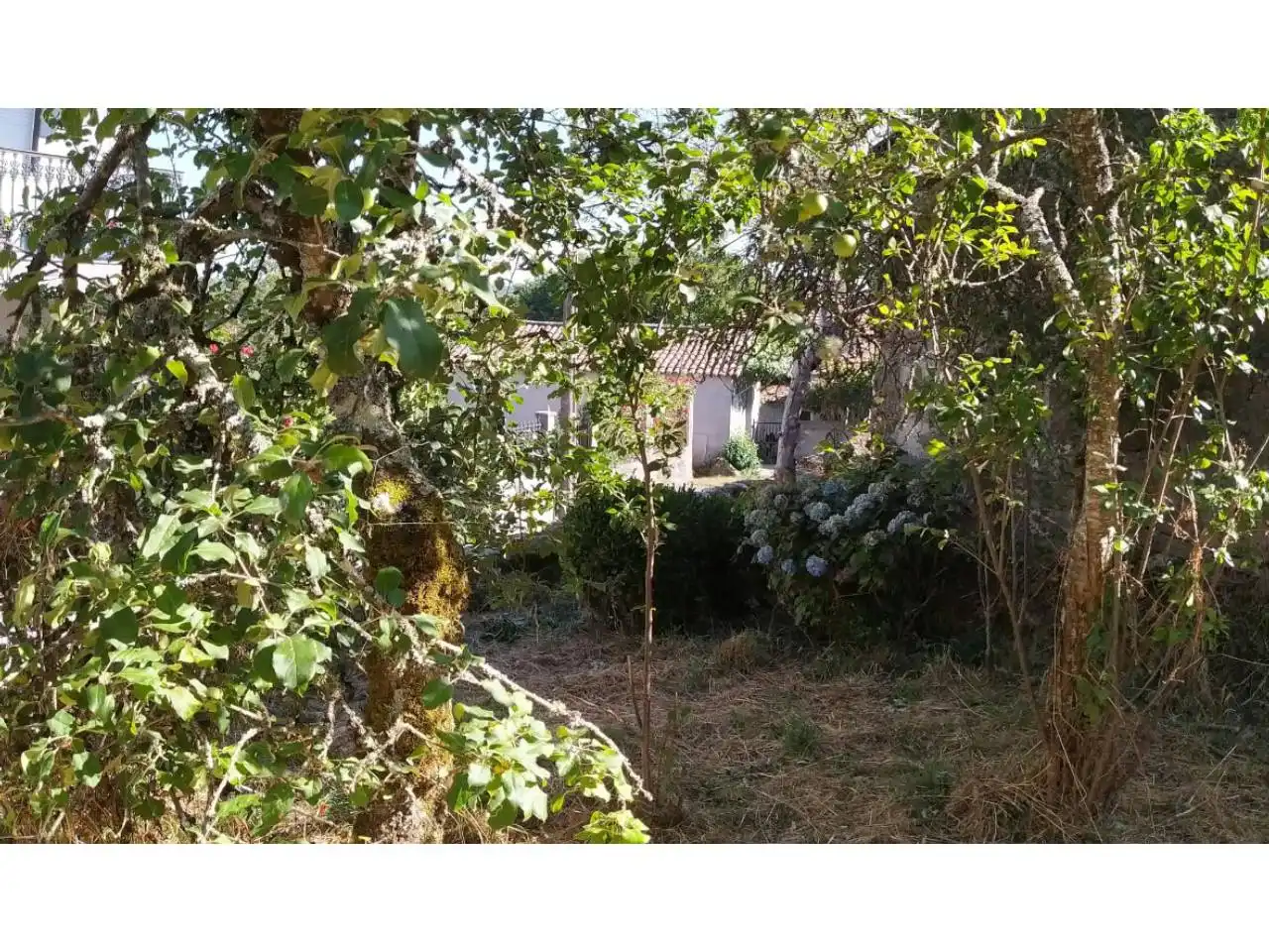 Casa con giardino in vendita a Piñor
