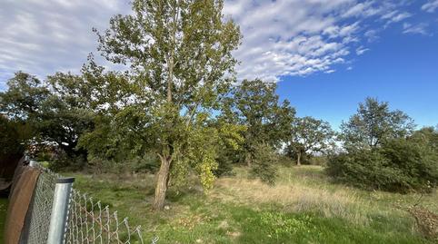 Photo 5 of Flat for sale in Calle San Miguel, Cirueña, La Rioja