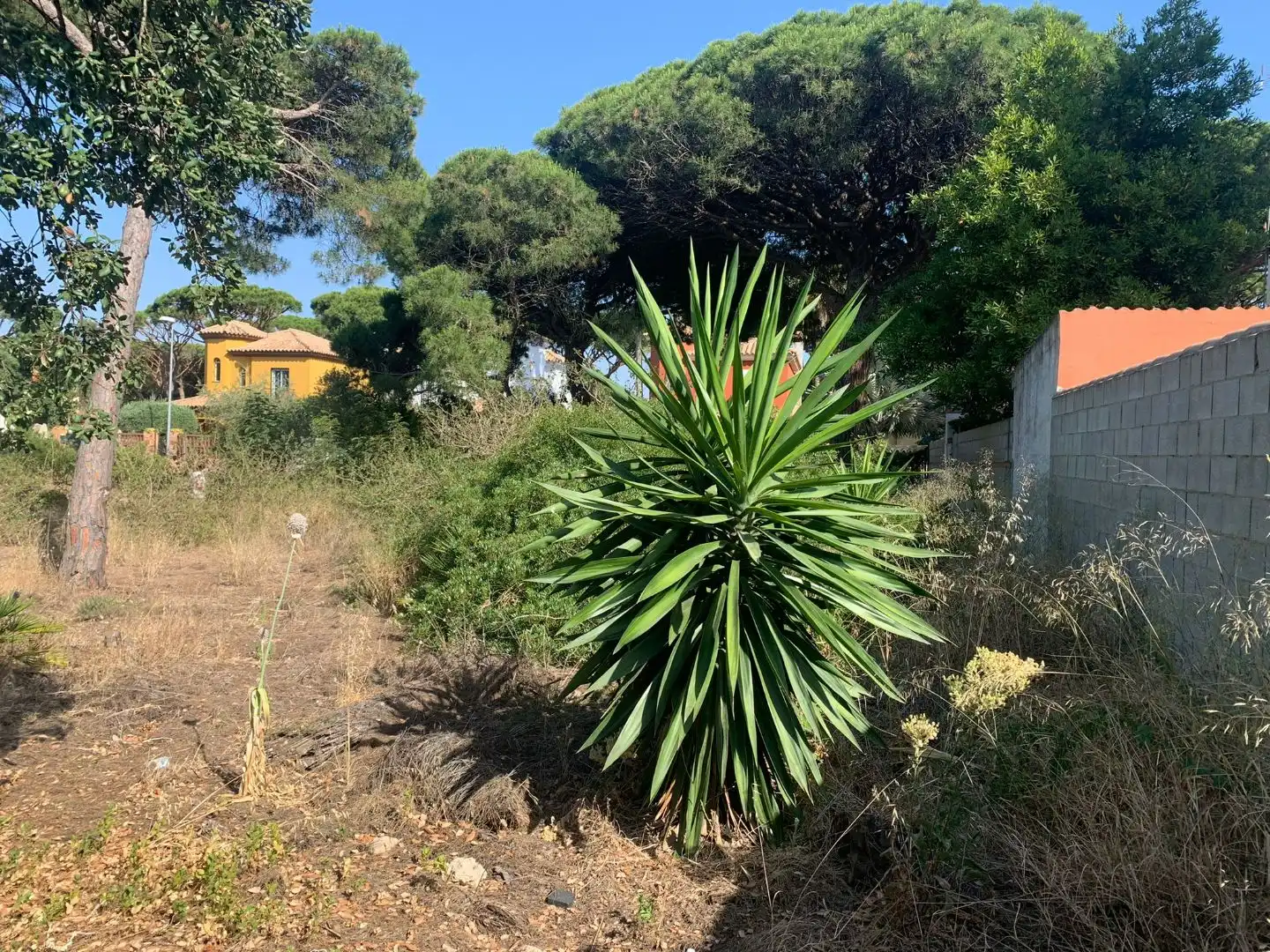 Residential zum Verkauf in Chiclana de la Frontera