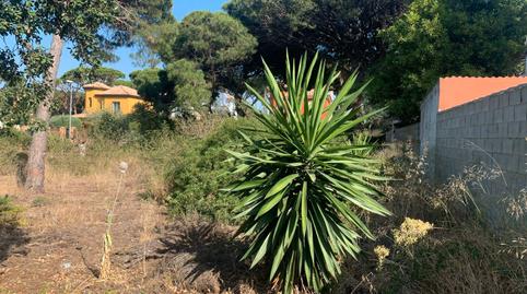 Photo 2 of Residential for sale in Calle la Morena, 27, La Barrosa, Chiclana de la Frontera