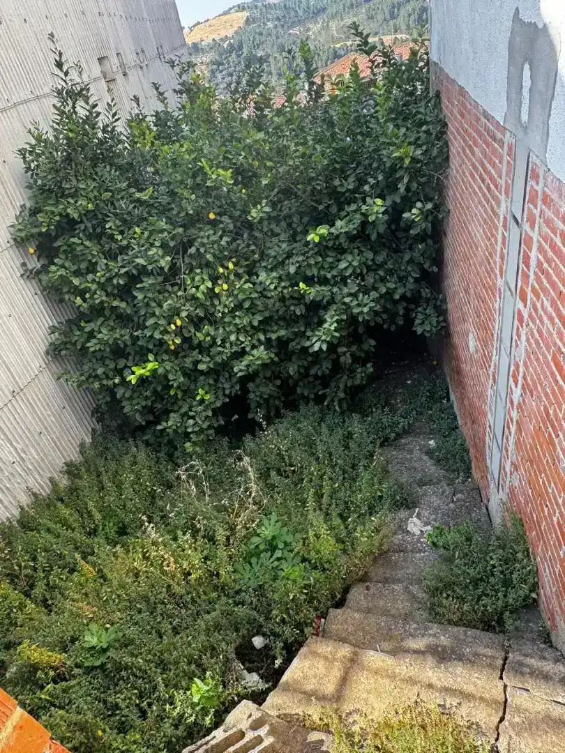 Casa adosada en venda en Guadalupe amb Jardí privat i Balcó