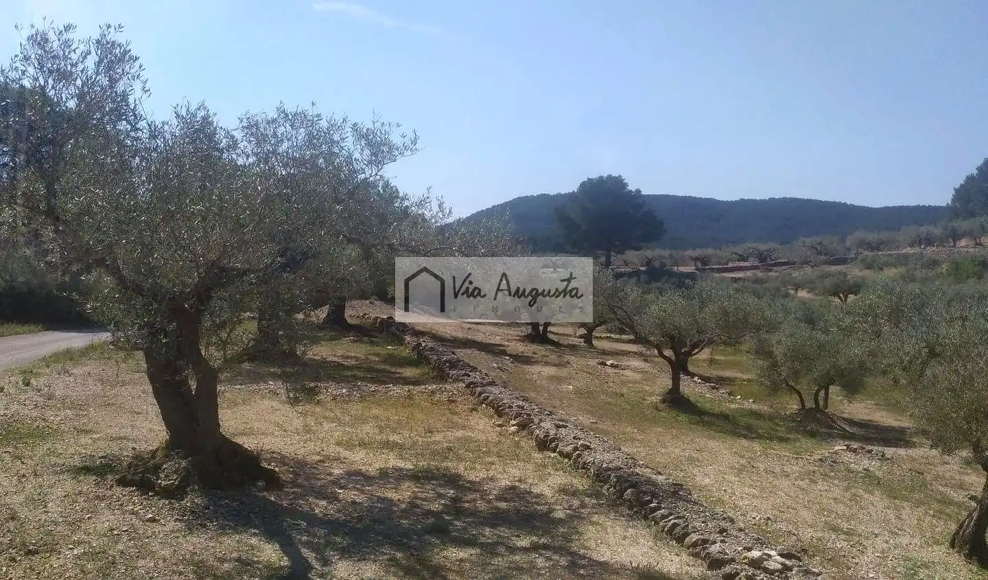Country homes for sale in Tortosa