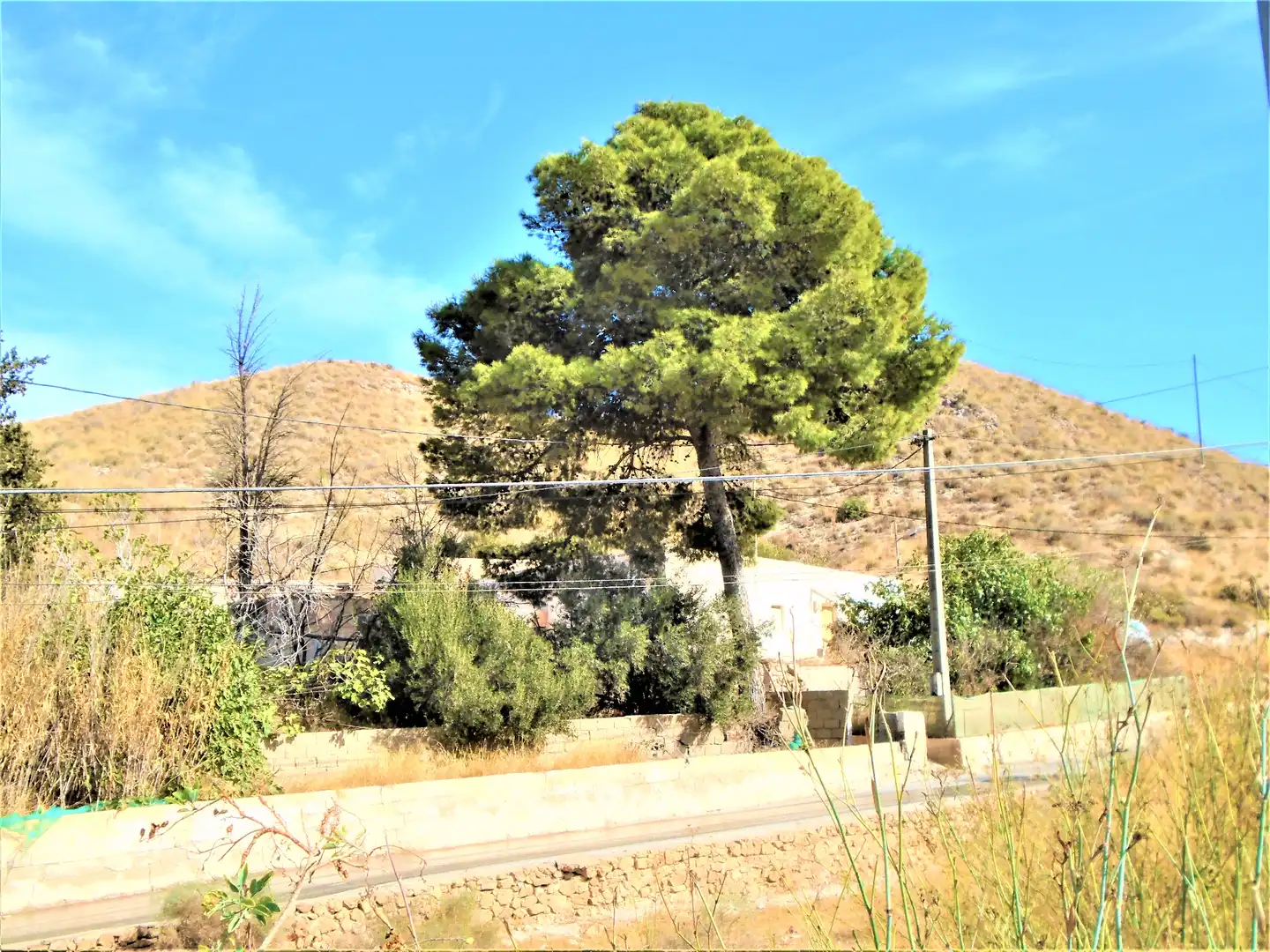 Vista exterior de Casa o chalet en venta en Carboneras con Jardín privado, Terraza y Trastero