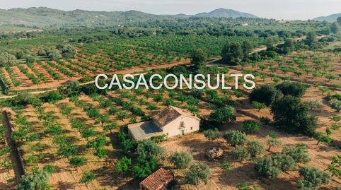 Foto 4 de Finca rústica en venda a Useras / Les Useres, Castellón