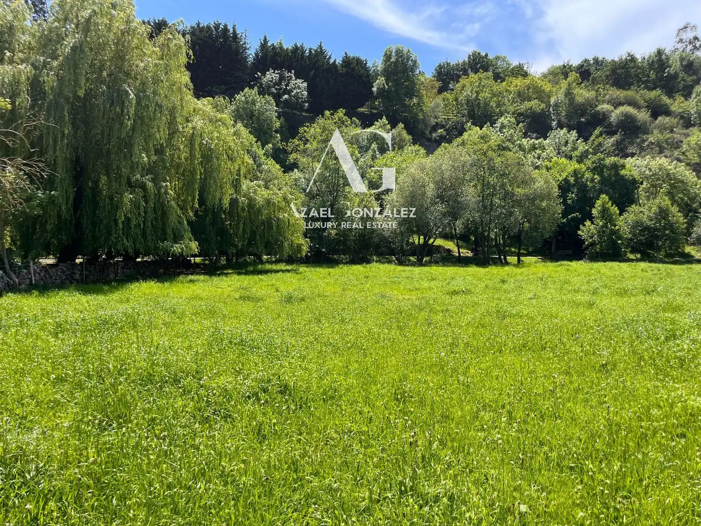 Land for sale in Ruente