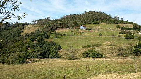 La Argañosa (Candamo) Asturias, finca edificable para dos casas, 25.000 €, imatge 2
