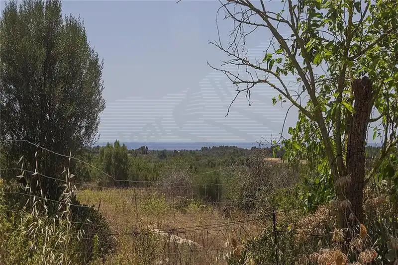 Country homes for sale in Manacor  with Private garden and Terrace