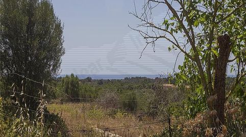 Photo 5 of Country homes for sale in Manacor Centre, Manacor
