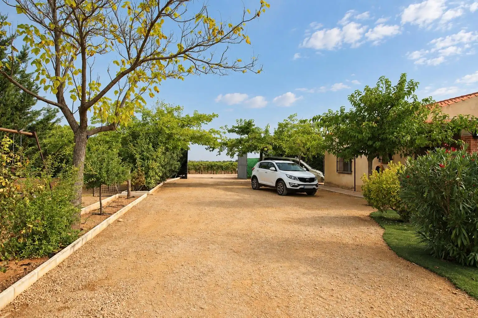 Villa con piscina in vendita a Argamasilla de Alba, imagen 12