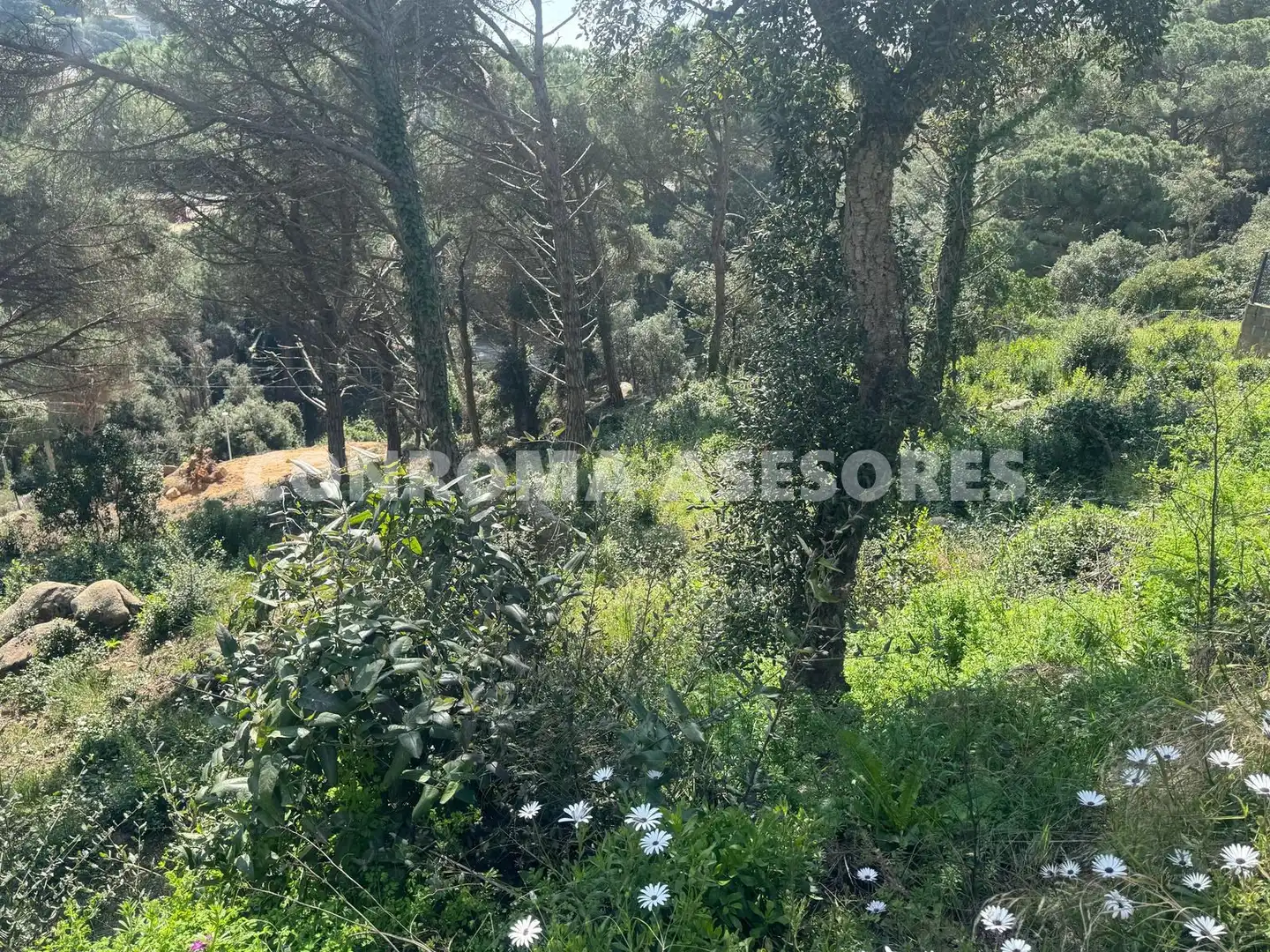 Residential land for sale in Serra Brava, imagen 2