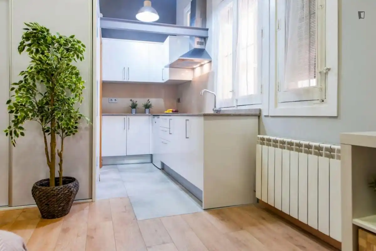 Estudio en alquiler en Centro, imagen 19