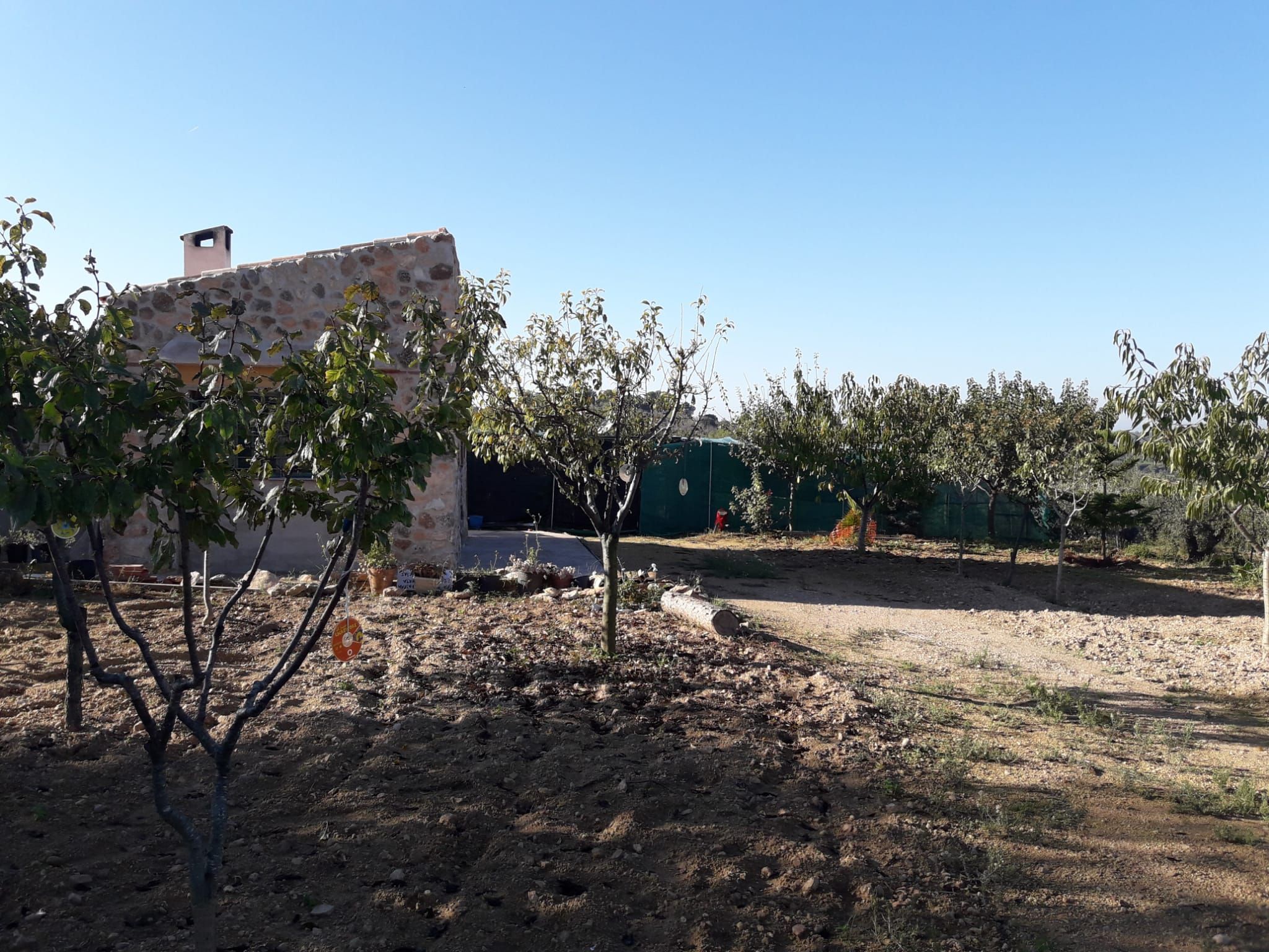 Land for sale in Salomó