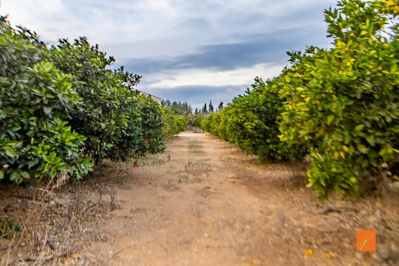 Finca rústica en venda en Masdenverge amb Calefacció, Jardí privat i Terrassa