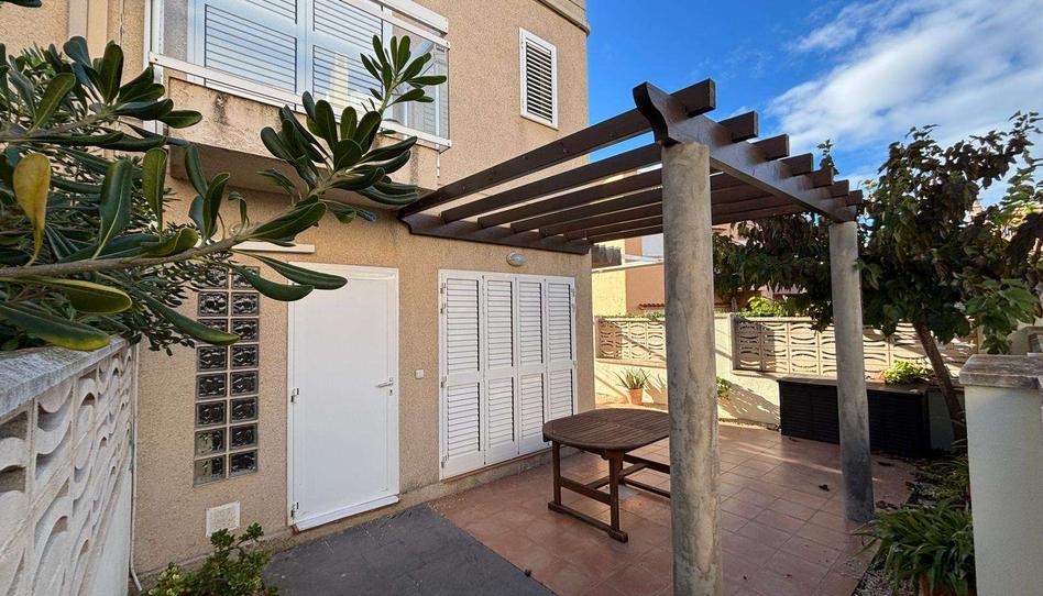 Photo 1 of Apartment to share in El Perellonet, Valencia