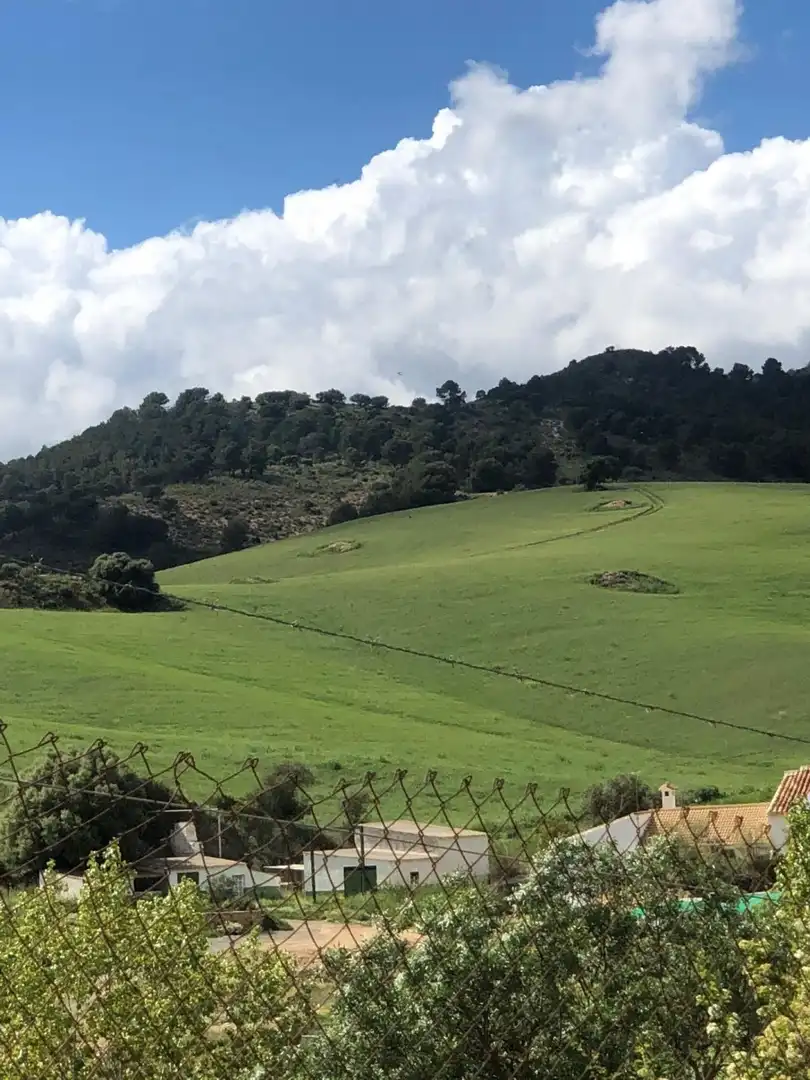 Terreno residenziale in vendita a Ardales, imagen 18