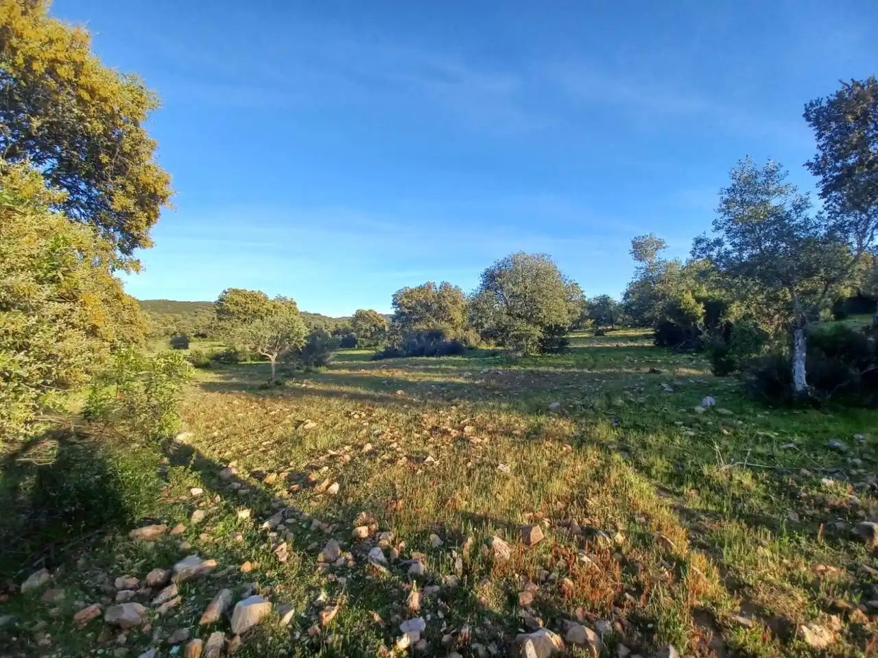 Grundstücke zum Verkauf in Peraleda del Zaucejo