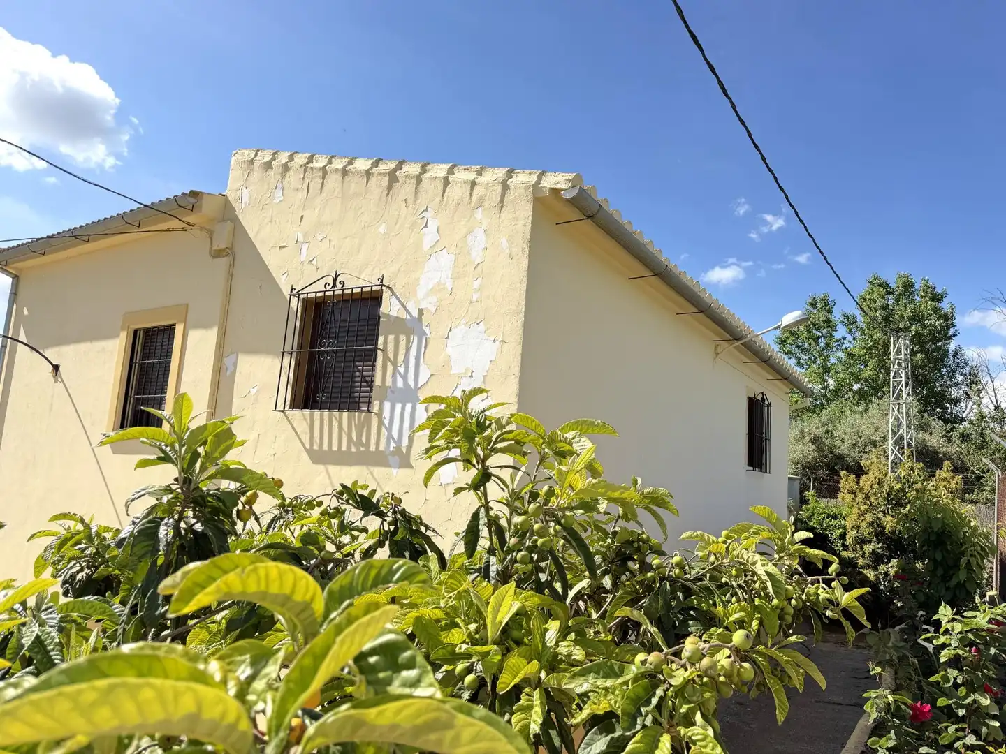Vista exterior de Finca rústica en venta en Teba con Calefacción y Trastero