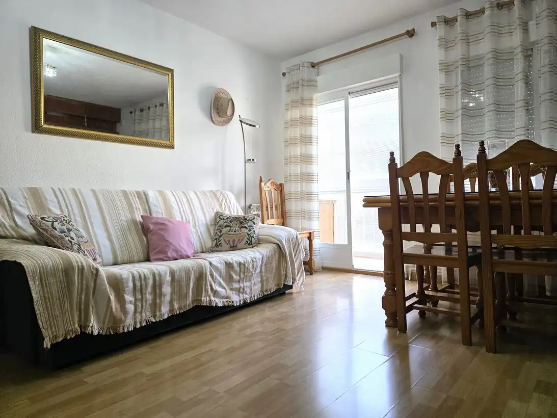 Living room of Flat for rent in Madrid  with Heating, Terrace and Furnished
