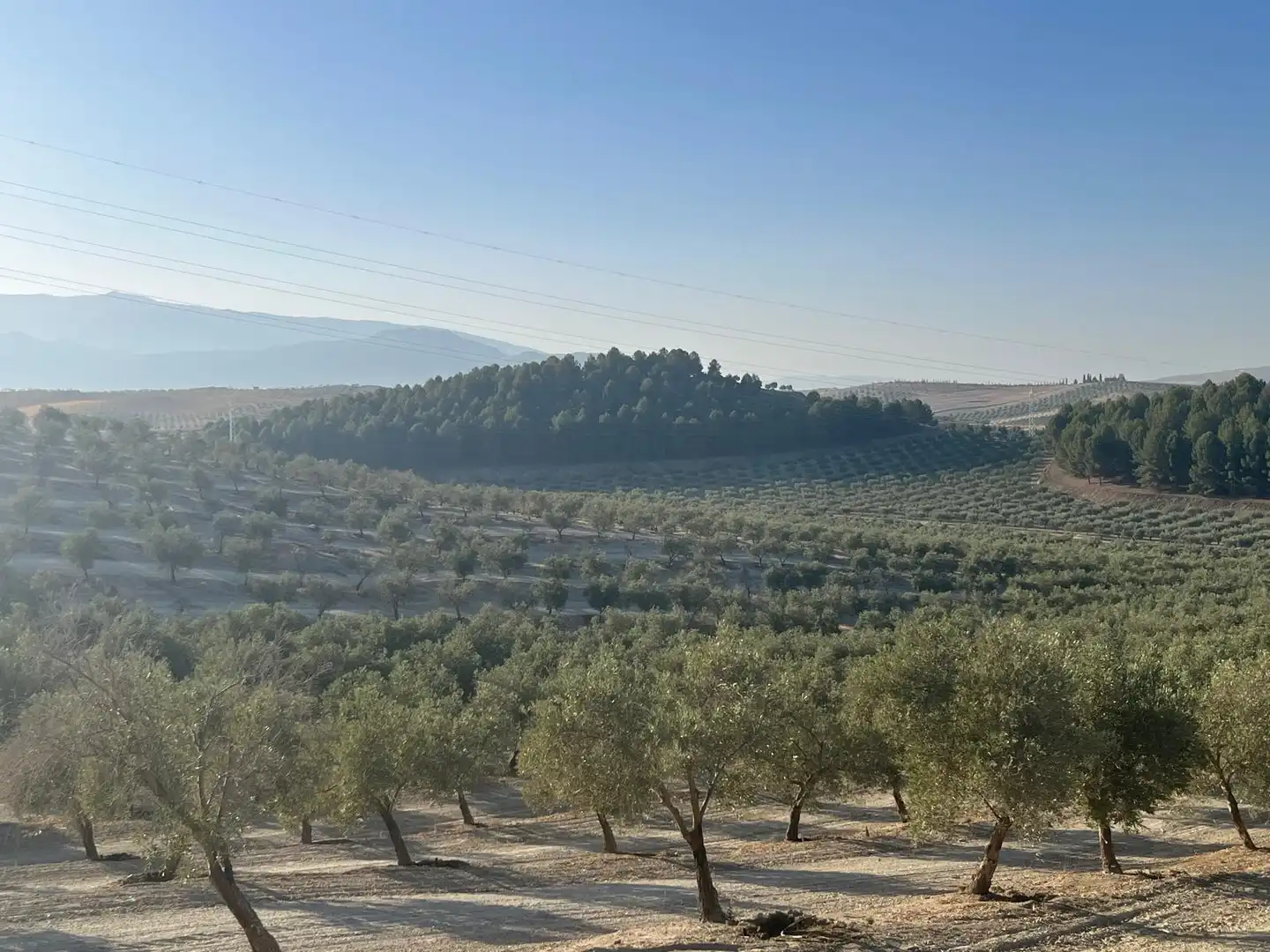 Finca rústica en venta en La Malahá