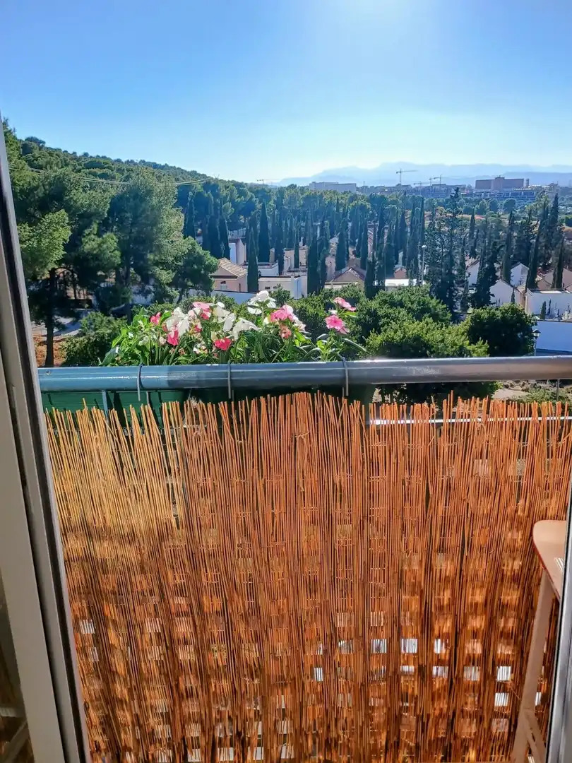 Appartement avec ascenseur à louer à CARRETAS 33, imagen 18