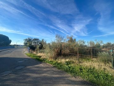 Terreny rústic en venda a Coria