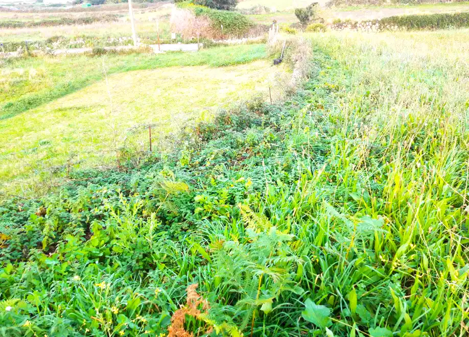 Residential land for sale in BOLADO, imagen 6