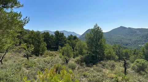 Foto 2 de Casa o xalet en venda a Confrides, Alicante