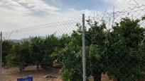 Land for sale in Nules
