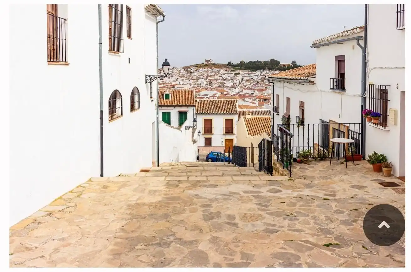 Inmuebles singulares en venta en Centro, imagen 3