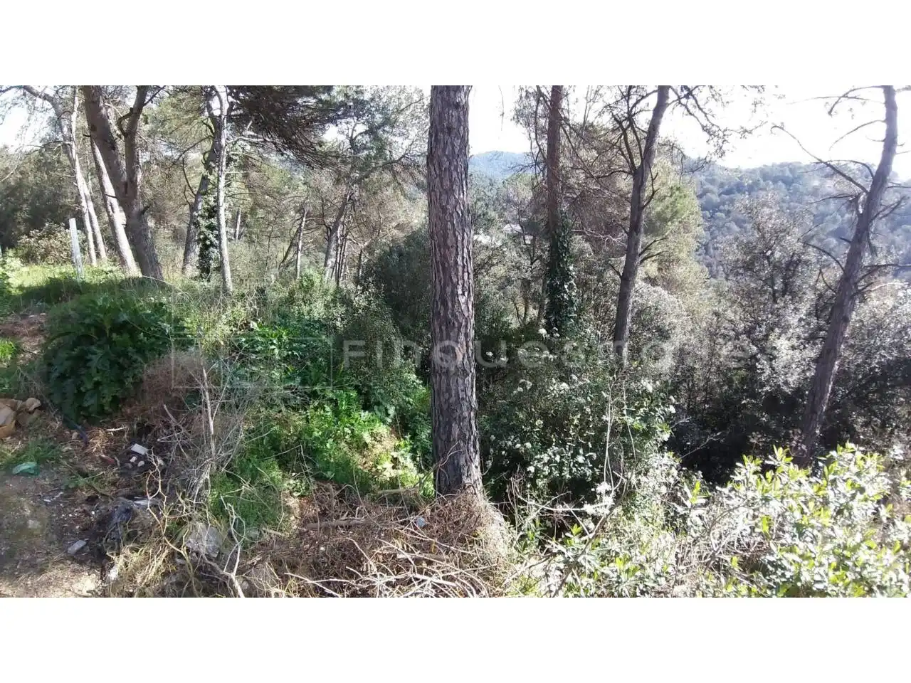 Terreno residencial en venta en Paseo Estació de Torreblanca, imagen 4