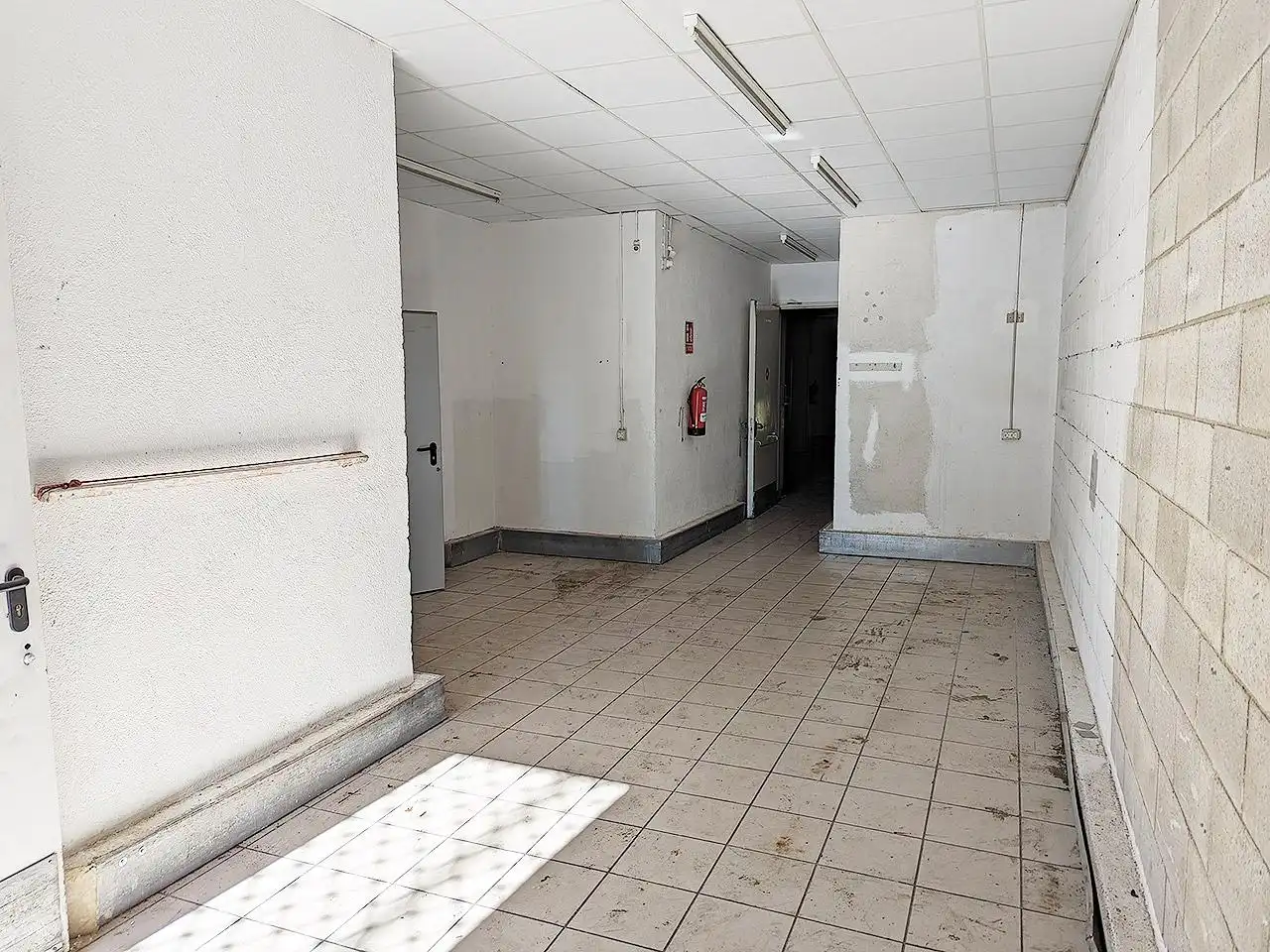 Local commercial à vendre à Ramon Salomon 11, imagen 6