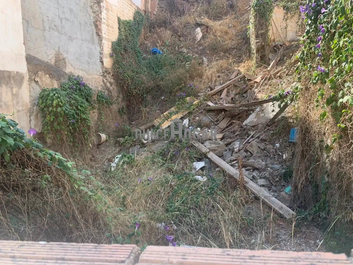 Lands and plots for sale in Calle FRANCISCO SANCHEZ, imagen 3