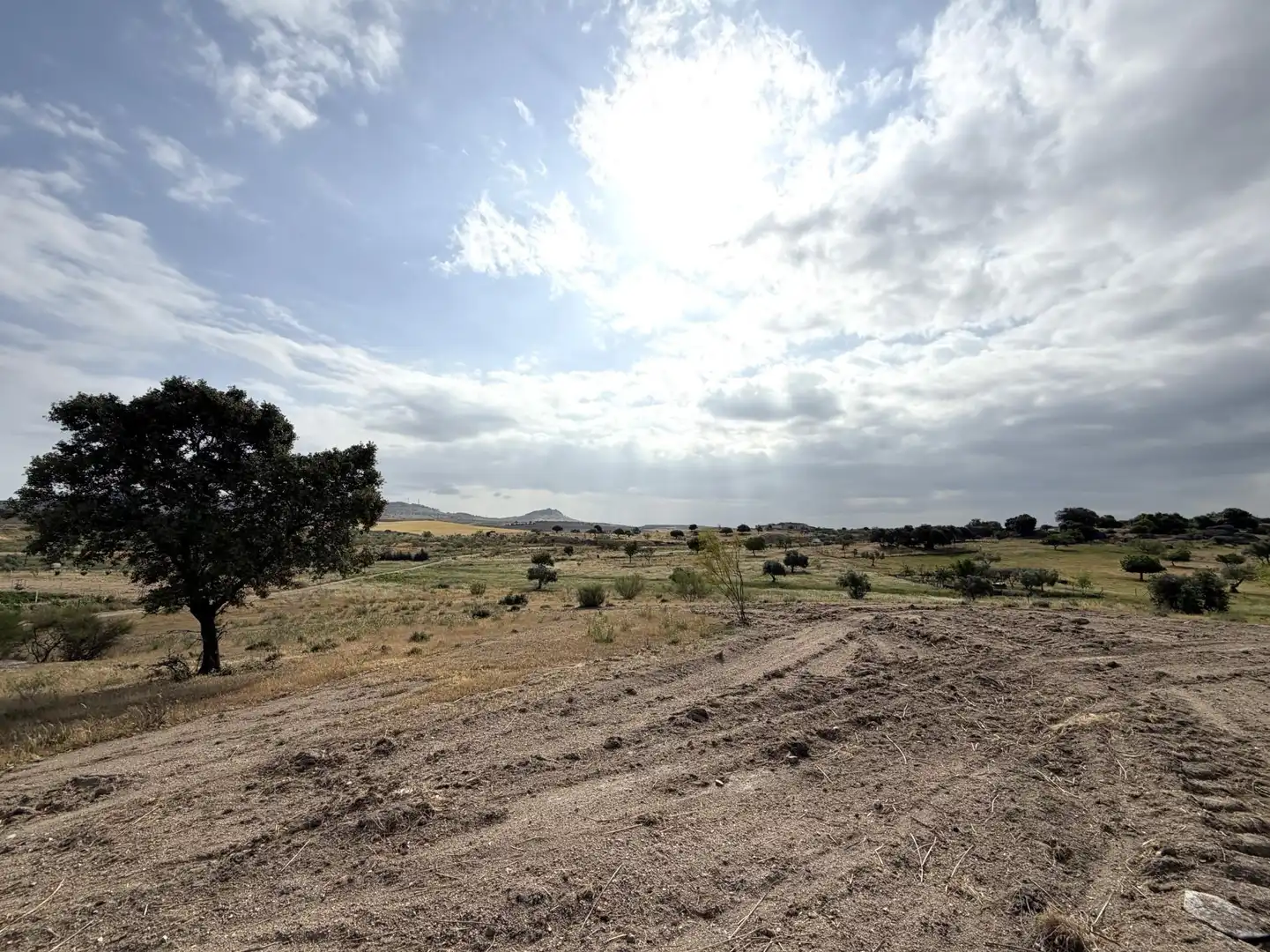 Terrain rustique à vendre à La Haba, imagen 40