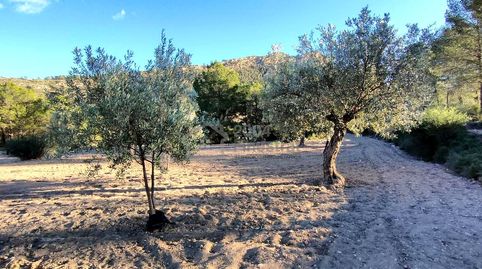 Foto 3 von Grundstücke zum Verkauf in Partida Macaroves, Relleu, Alicante