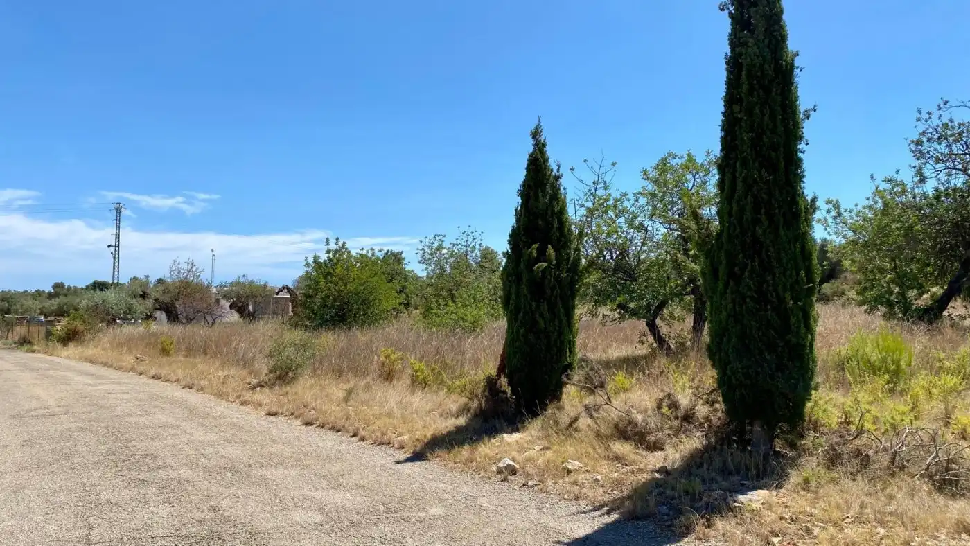 Terreno residencial en venta en Camino BARRANC DE MOLES 61