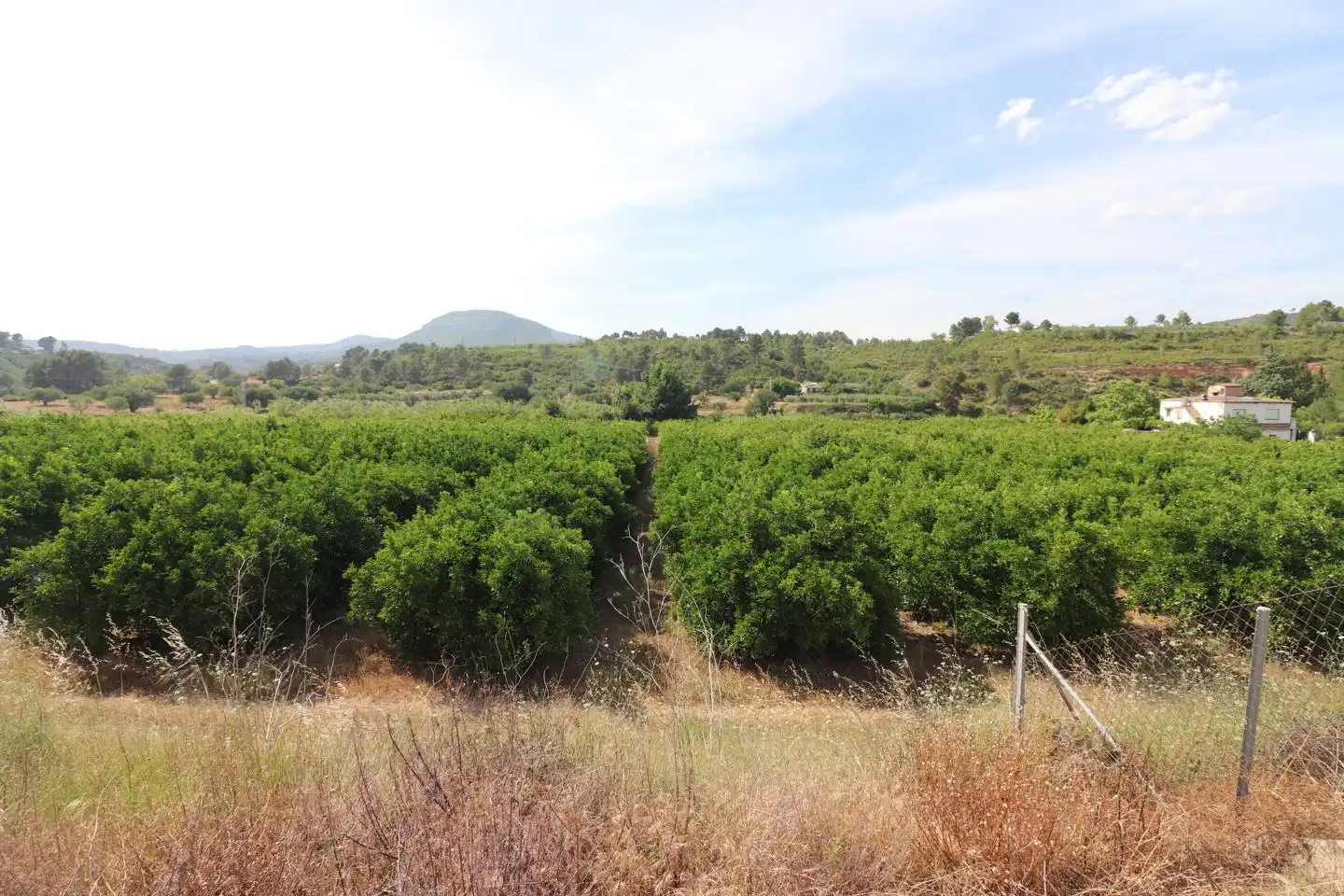Grundstücke und Bauplätze zum Verkauf in MAESTRO CERVERA LLORET, imagen 2