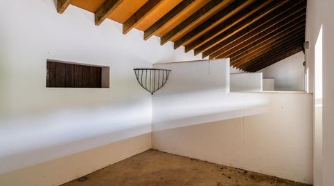FINCA CON CASA EN VEJER (COSTA), imagen 2