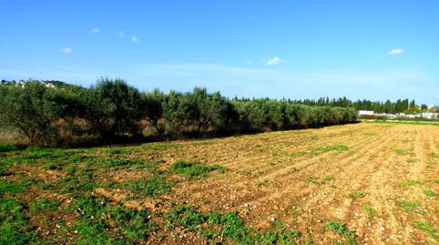Photo 2 of Land for sale in Santa Maria, Barcelona