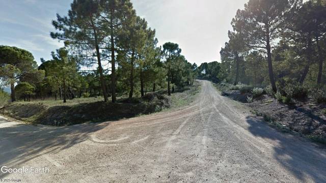 Terreno en Venta en Puente de Génave