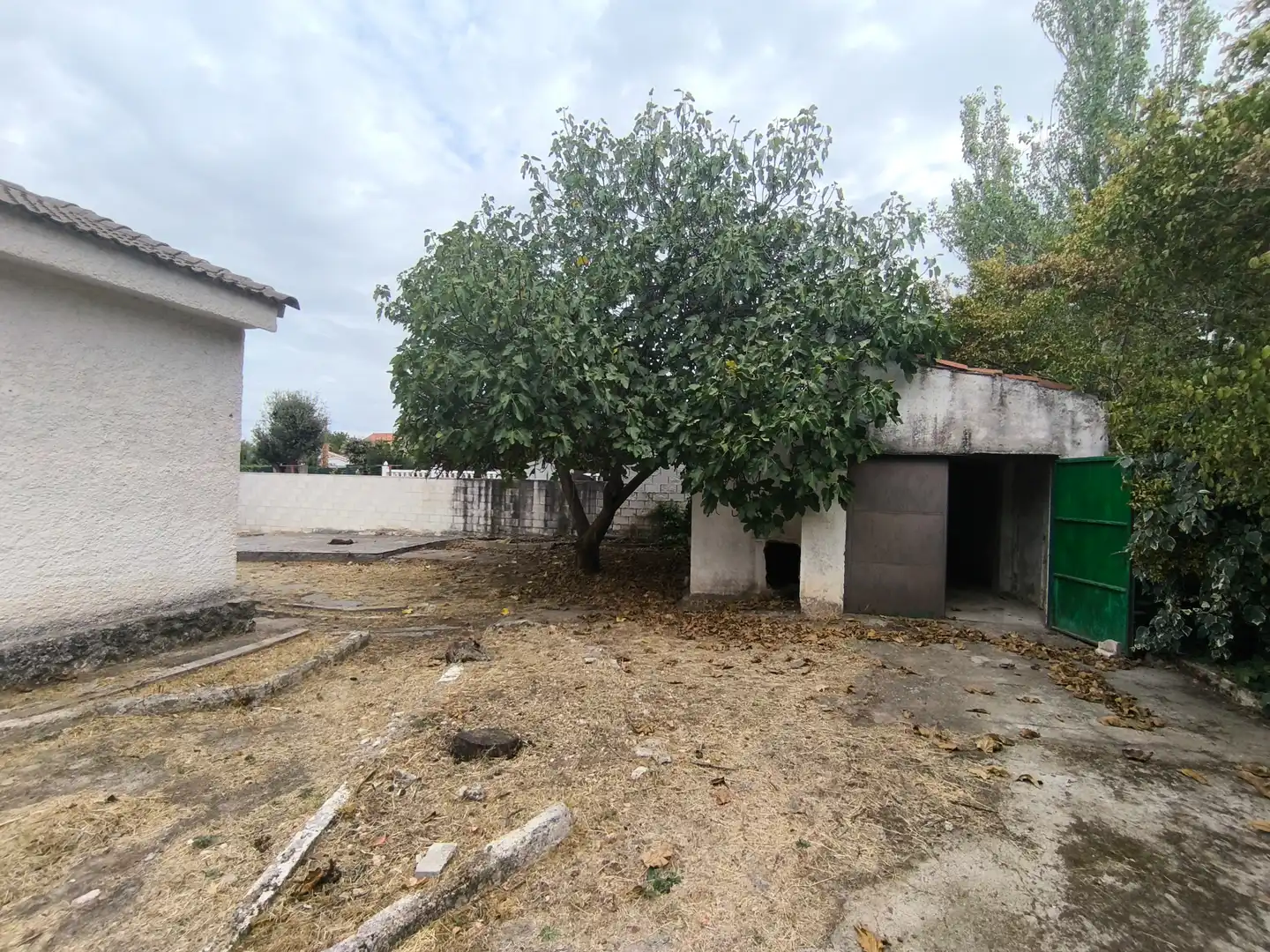 Villa con giardino in vendita a Avenida Nápoles, imagen 14