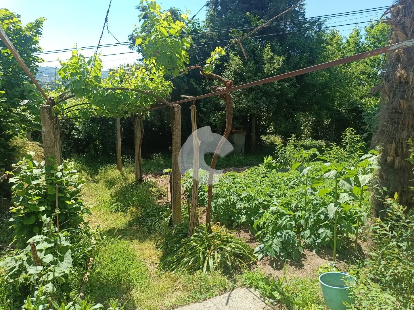 House with garden for sale in Barbadás, imagen 5