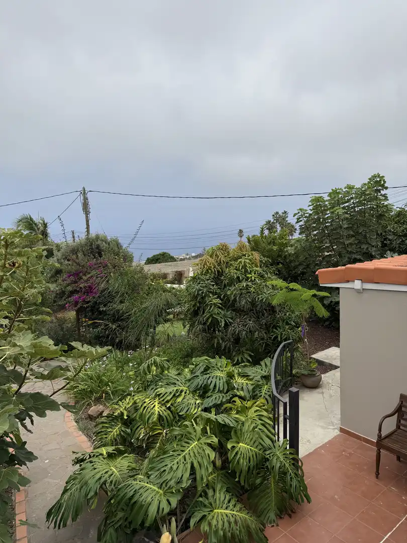Jardín de Casa o chalet de alquiler en Tacoronte con Aire acondicionado, Jardín privado y Terraza