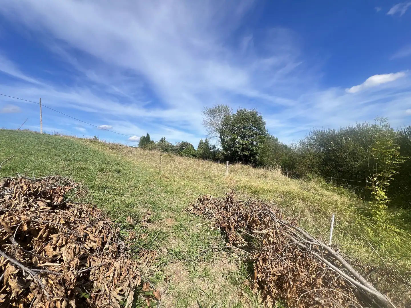 Lands and plots for sale in Pillarno, imagen 21
