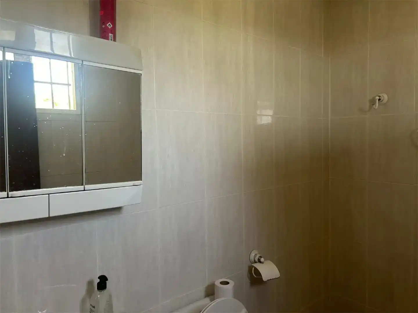 Bany de Finca rústica en venda en Albaida amb Piscina