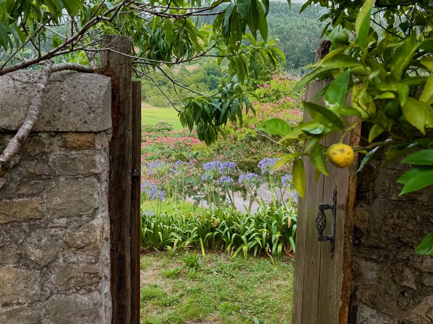 Jardí de Casa o xalet en venda en Polanco amb Calefacció, Jardí privat i Terrassa