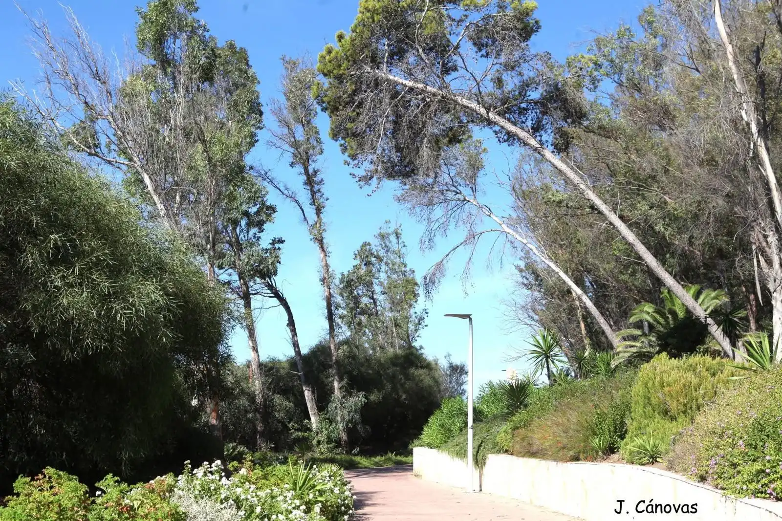 Außenansicht von Geschaftsraum zur Miete in Estepona