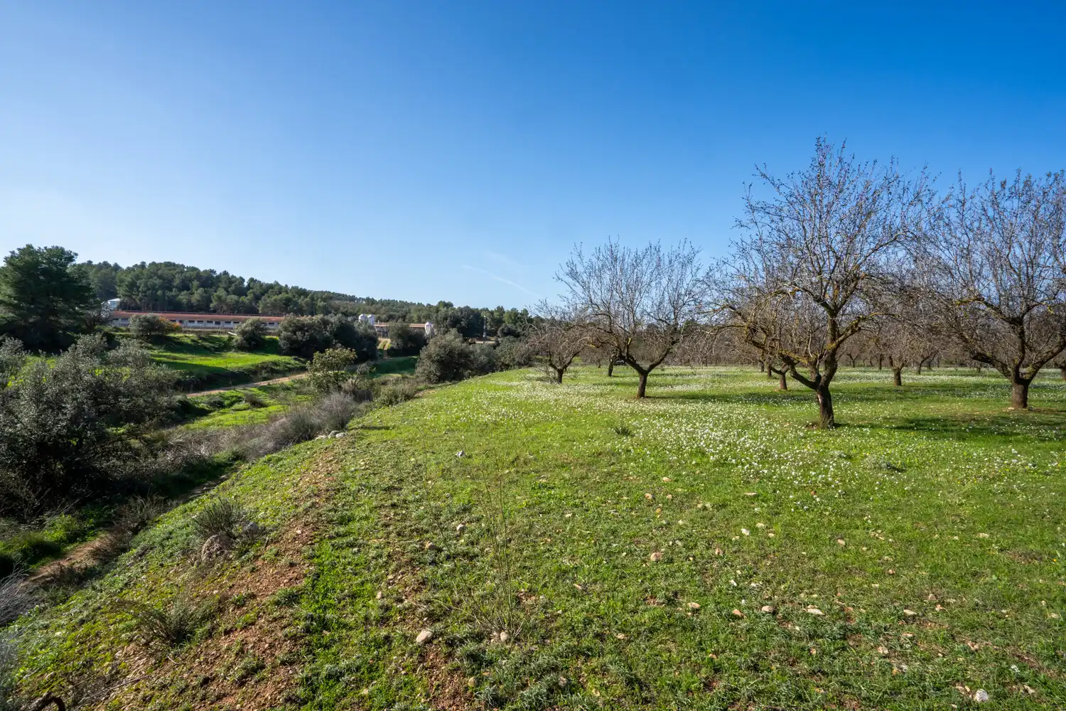Rural land for sale in Horta de Sant Joan, imagen 7